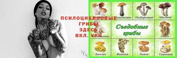 индика Михайловск