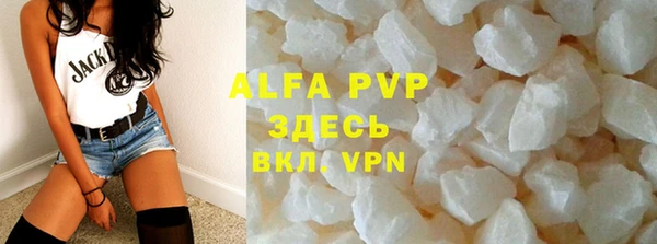индика Михайловск