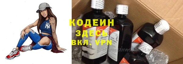 индика Михайловск
