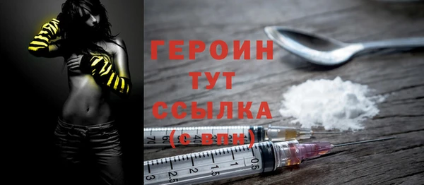 индика Михайловск