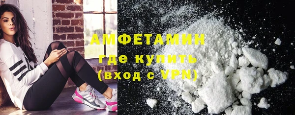индика Михайловск