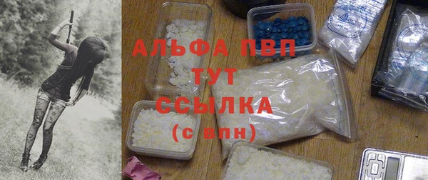 индика Михайловск