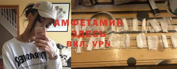 индика Михайловск