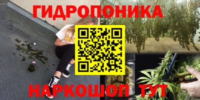 мескалин Кингисепп