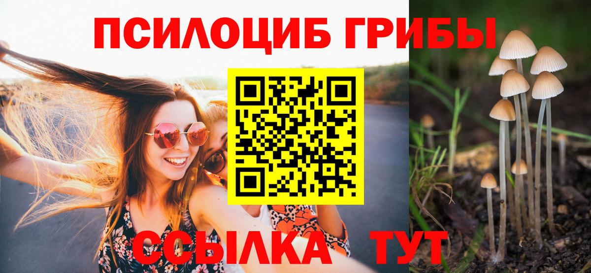 Псилоцибиновые грибы Magic Shrooms  Галлюциногенные грибы прущие грибы  Юрга  Вход с VPN 